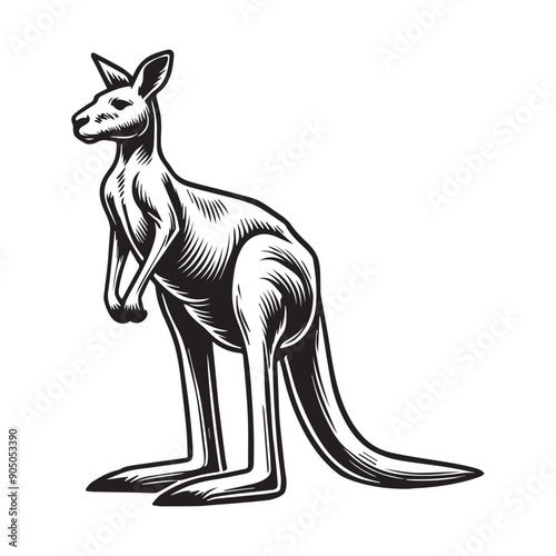 Kangaroo Silhouette - Kangaroo Clipart - A Kangaroo Tall Stand illustration in black and white