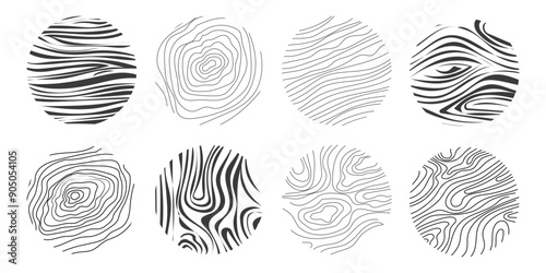 Wood texture material doodle hand drawn line. Tree trunk geometric curve and wave contour. Rings and circles. 
