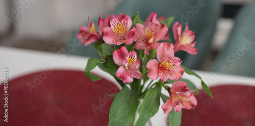 Alstroemeria psittacina pink flowers bouquet closeup home decor photo