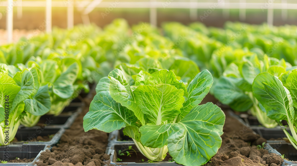Regenerative farming using AI and robotics in a greenhouse, regenerative technology, agriculture revolution Regenerative farming using AI and robotics in a greenhouse, regenerative technology, agriculture revolution
