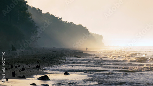 Fototapeta Naklejka Na Ścianę i Meble -  The landscape on the Baltic Sea.