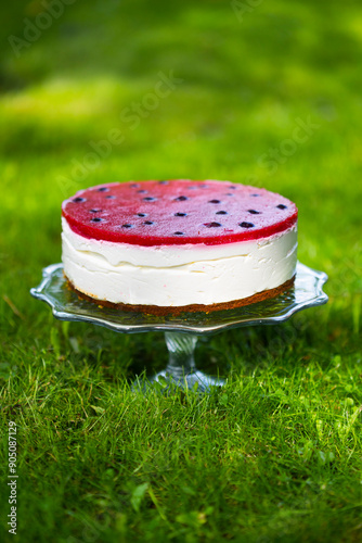 Homemade birthday mousse cake looks like watermelon made of cream cheese and strawberry confit on green grass