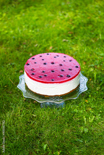Homemade birthday mousse cake looks like watermelon made of cream cheese and strawberry confit on green grass