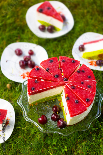 Homemade birthday mousse cake looks like watermelon made of cream cheese and strawberry confit on green grass