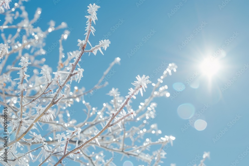 Ice formations on tree branches shining in sunlight against clear blue sky, Icy branches glistening in the sunlight against a clear blue sky Ice formations on tree branches shining in sunlight against clear blue sky, Icy branches glistening in the sunlight against a clear blue sky