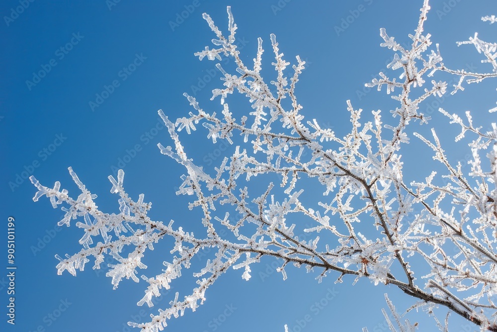 Crystal icicles hanging from tree branches with a clear blue sky background, Icy branches glistening in the sunlight against a clear blue sky Crystal icicles hanging from tree branches with a clear blue sky background, Icy branches glistening in the sunlight against a clear blue sky