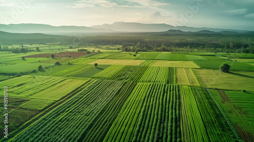 Aerial Photograph of Smart Agriculture
