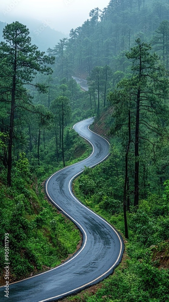 Aerial view asphalt road on the green forest, Curve asphalt road on mountain green forest, Countryside road passing green forest and mountain. Aerial view asphalt road on the green forest, Curve asphalt road on mountain green forest, Countryside road passing green forest and mountain.