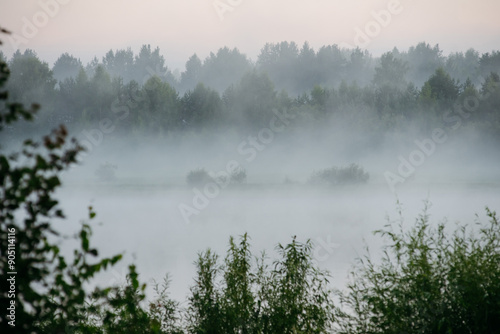 Morning fog in the river