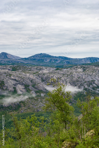 Wilderness forest, mountain and river landscape in Northern Norway at Rago national Park