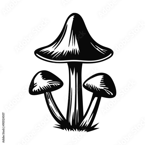 Hand drawn mushroom. Sketch mushroom. Isolated on white background. Black and white.