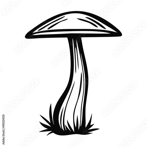 Hand drawn mushroom. Sketch mushroom. Isolated on white background. Black and white.