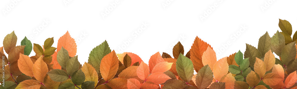 Autumn leaf png border sticker, transparent background Autumn leaf png border sticker, transparent background