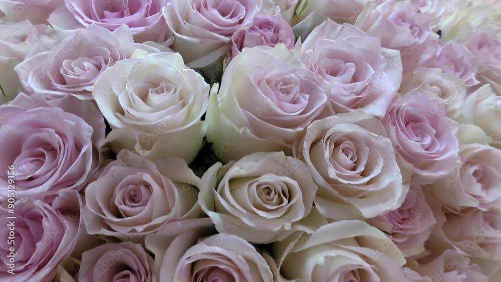 There are a lot of roses in a large bouquet. The flowers are beautiful, the rose is pink. There are a lot of roses in a large bouquet. The flowers are beautiful, the rose is pink.