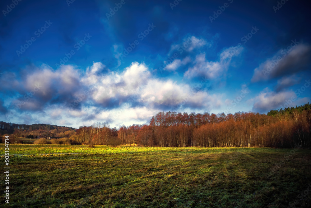 Obraz premium Przedwiośnie