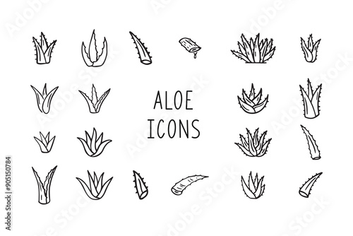 Hand drawn doodle aloe vera outline icon set