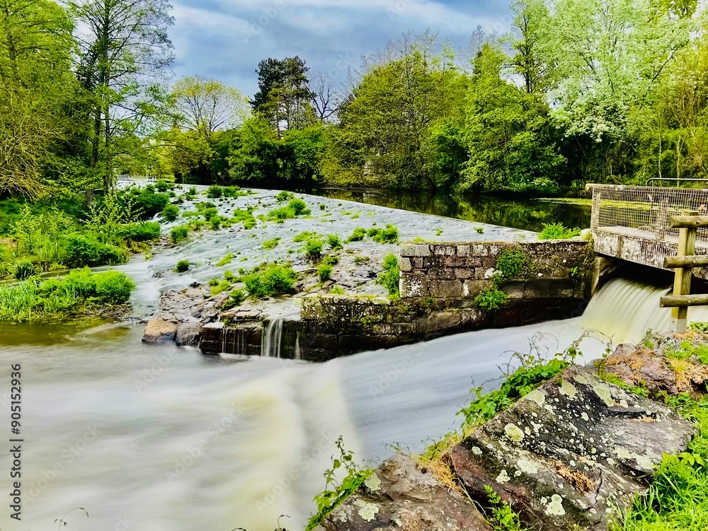 Fototapeta premium bridge over the river
