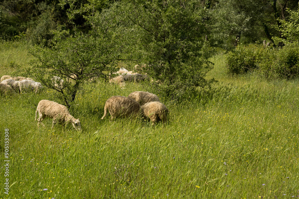 Albania a natural jewel on the Balkan Albania a natural jewel on the Balkan