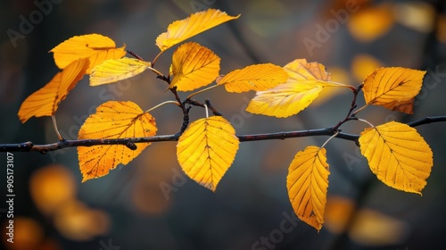 Autumn branches with yellow leaves, capturing the essence of an unusual season