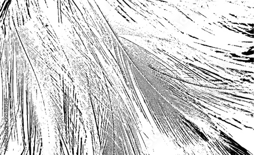 Monochrome texture composed of irregular graphic elements. Distressed uneven grunge background. Abstract vector illustration. Overlay for interesting effect and depth. Isolated on white background.