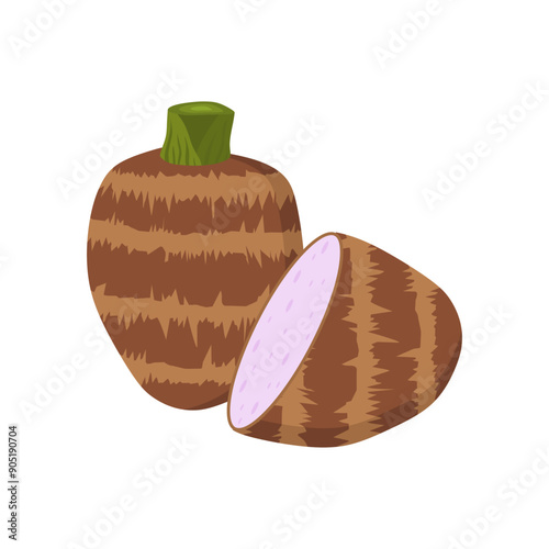 taro root flat design vector illustration isolated on white background.  malanga, colocasia esculenta, satoimo. Chinese and japanese vegetable. Asian cuisine ingredient. Healthy vegetarian food. 