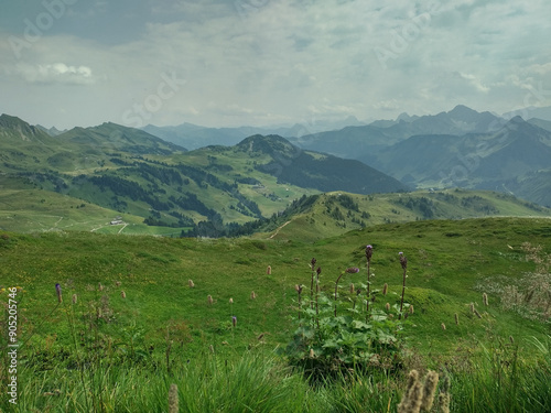 Wunderschöne Berglandschaft im Bregenzerwald in Vorarlberg