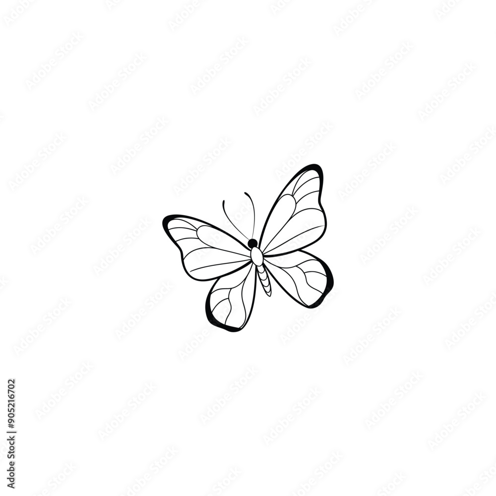butterfly on a white background butterfly on a white background