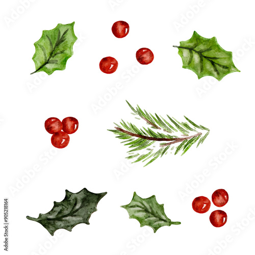 Watercolor Christmas set holly berries and green leaves, fir twigs design elements cut out from white background