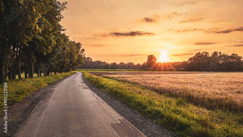 Feldweg beim Sonnenuntergang