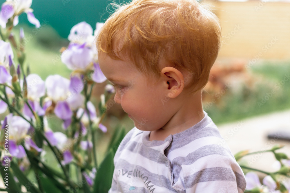 Portrait of a little red-haired boy against a background of blue irises in the garden Portrait of a little red-haired boy against a background of blue irises in the garden
