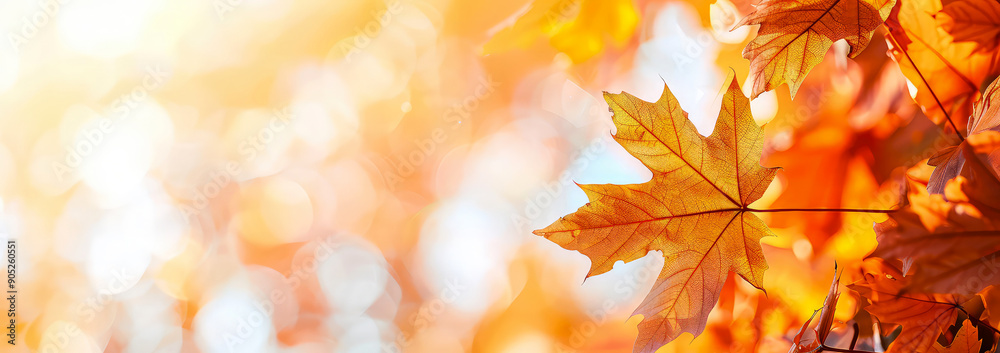 Layout of colorful maple leaves, autumn foliage. Scenic autumn, fall background. Copy space. Generative ai Layout of colorful maple leaves, autumn foliage. Scenic autumn, fall background. Copy space. Generative ai
