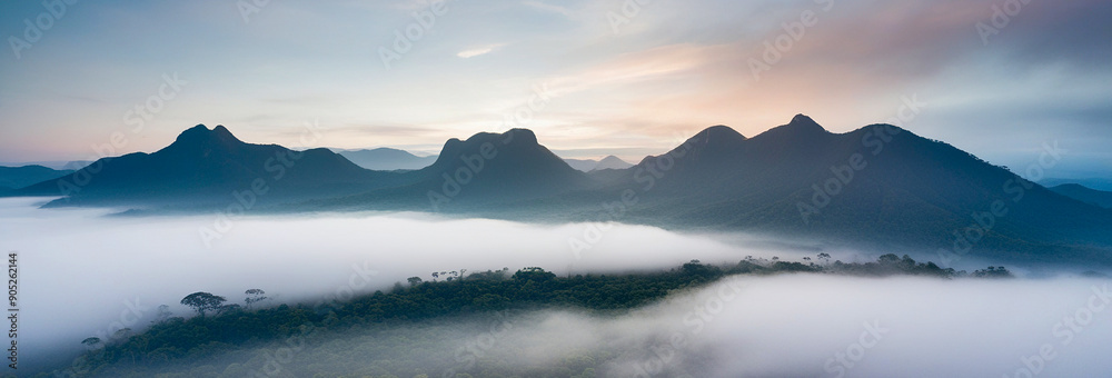 Fototapeta premium Green forest with misty landscape and mountains, Foggy mountain with trees, Mist covered mountains and forest