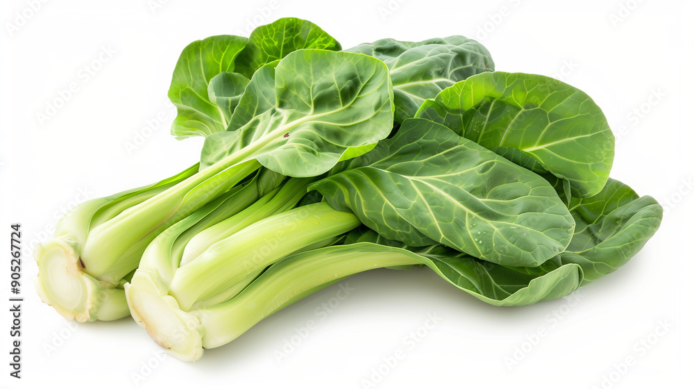 bunch of pak choi isolated on white bunch of pak choi isolated on white