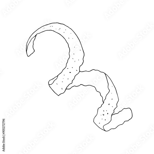Black and white silhouette of orange, lemon, lime, grapefruit fruit peel. Monochrome outline drawing of citrus zest engraving. Vector hand drawn illustration. Clip art for coloring, design, cards