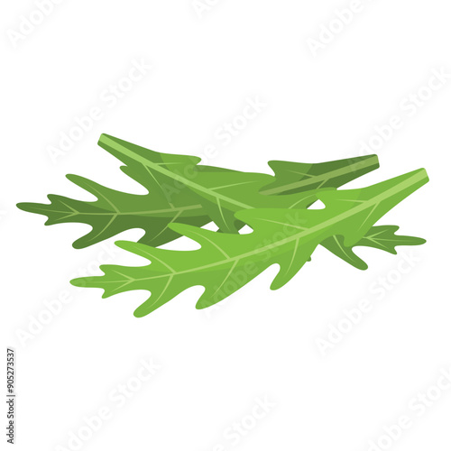 Vector cartoon image of hamburger ingredient. Arugula. Fast food and tasty food concept. Elements for your design. Banner for website, leaflets, etc.