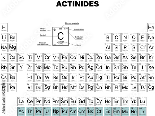 Actinides in the Periodic Table Of Elements Correct Sequence Of Elements | High Resolution, Uniform Style, Isolated On Transparent Background