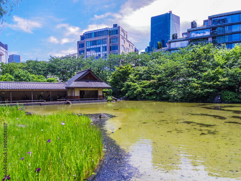 Obraz premium 【東京都】六本木・檜町公園