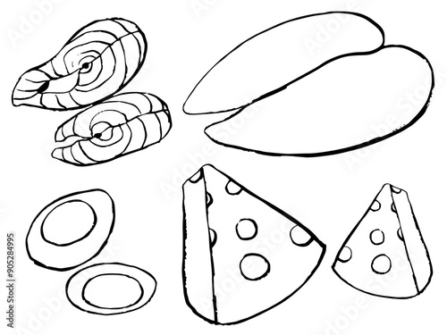 hand drawn set of protein rich food,  chicken, illustration of salmon, eggs and cheese