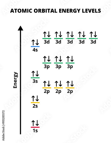 Vector chemical graph or chart with electron configuration in atoms isolated on a white background. Electrons in orbitals ordered from lower to higher energy levels. Aufbau principle, chemical basics.