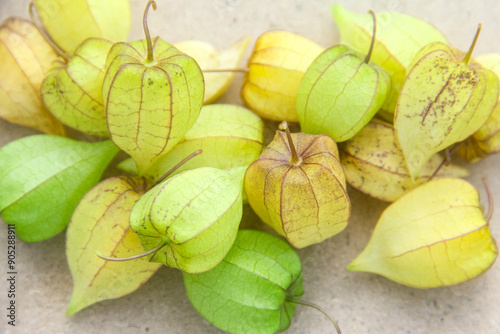 Ripe Physalis angulata or ciplukan on isolated wooden background photo