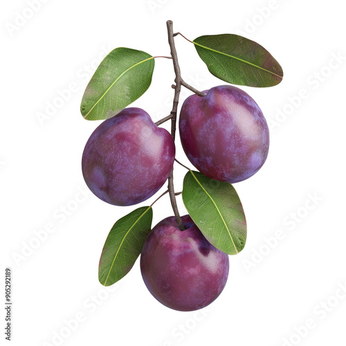 Kakadu plum fruit on a transparent background photo