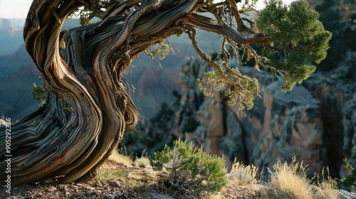 Ancient, twisted tree with gnarled branches overlooks a breathtaking canyon landscape, embodying timeless natural beauty and endurance.