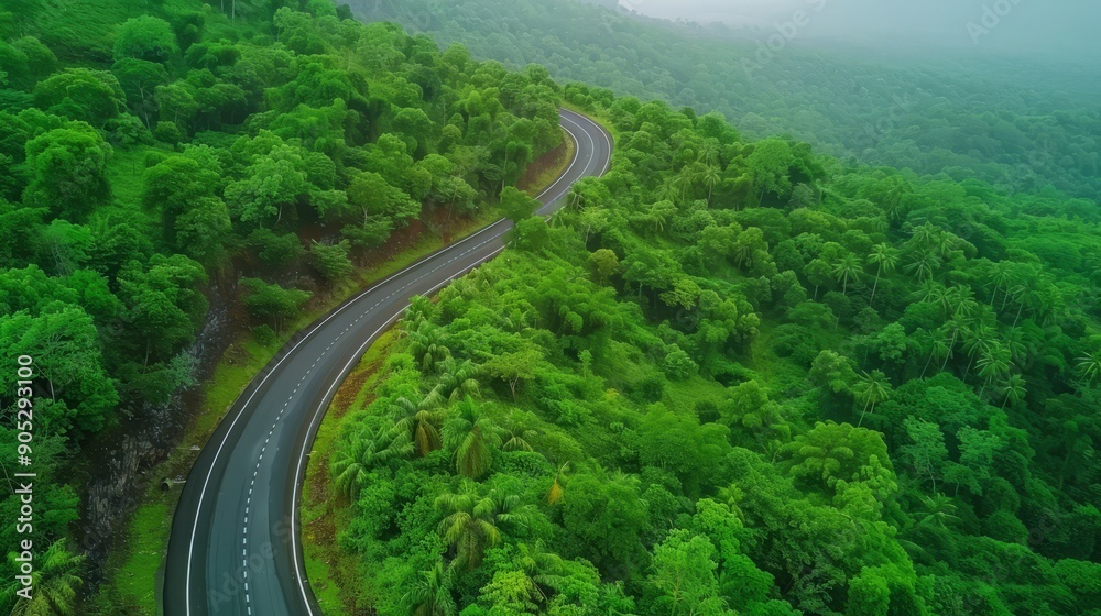 Beautiful view from sky of nature and road among forest. Concept of traveling by car to natural places. Forest road. Beautiful view from sky of nature and road among forest. Concept of traveling by car to natural places. Forest road.