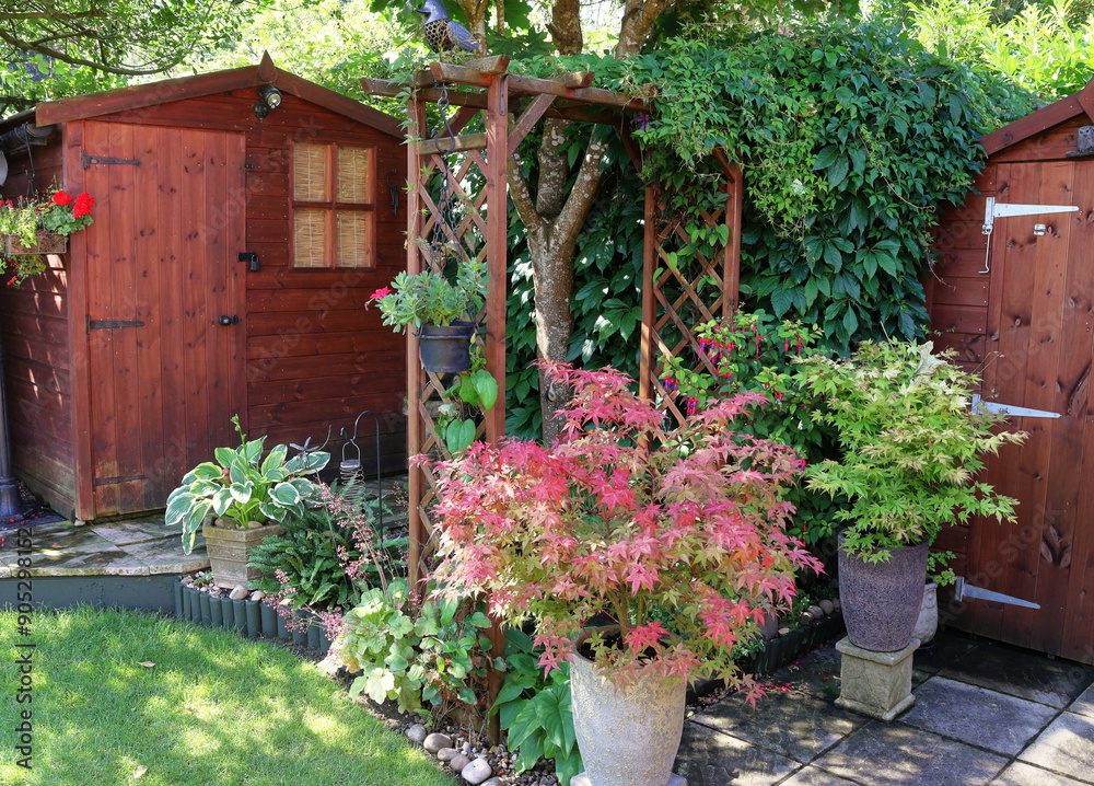 Garden - Back garden shed