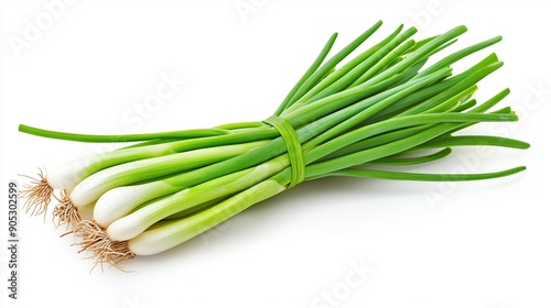 bunch of fresh green onion leaves on white background