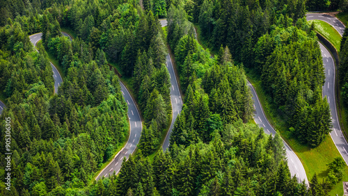 Top Down View of Winding Road in Alpine Pine Forest