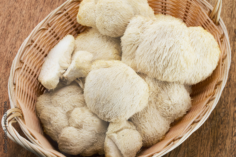 Lion's Mane Mushrooms in Basket Lion's Mane Mushrooms in Basket