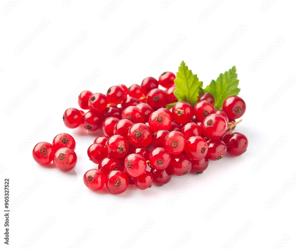 Red currant on white backgrounds Red currant on white backgrounds