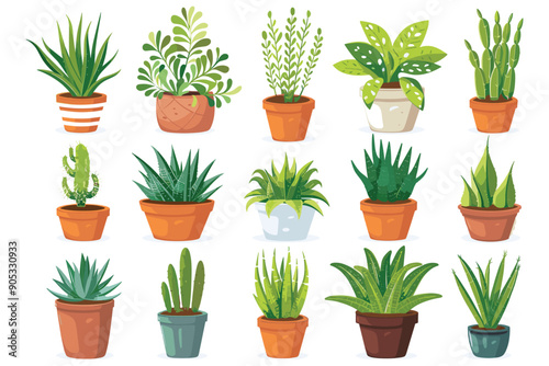 Set of decorative house plants in a pot, Green flora for the house decorations, Beautiful plants in decorative pots, Indoor plants in flower pot, Collection of indoor decorative house plants in a pot