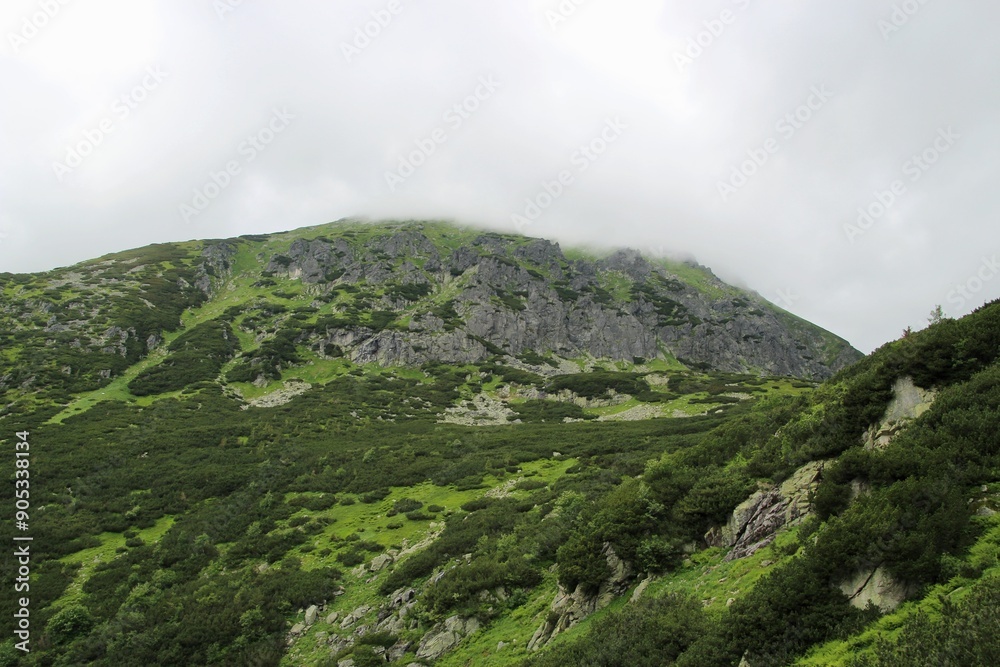 Naklejka premium Hills with fog in National park Tatra mountains
